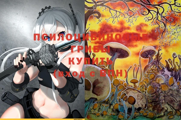 прущие крисы Пестово