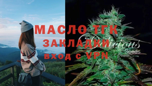 меф Пересвет